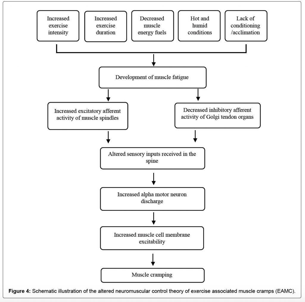 What Youth Sport Parents Need to Know About Muscle Cramps