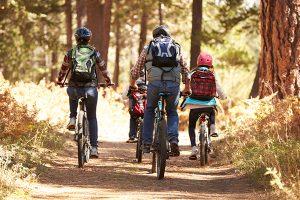 Rear view of a family of four riding away on bikes in a forest.