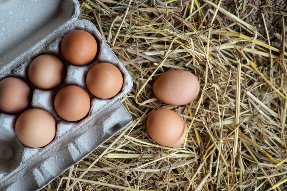 Brown eggs in a carton next to two eggs on hay.